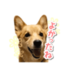 ぎんさんセリフスタンプ②（個別スタンプ：14）