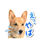 ぎんさんセリフスタンプ②（個別スタンプ：17）