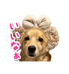ぎんさんセリフスタンプ②（個別スタンプ：19）