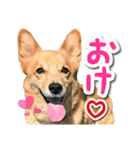 ぎんさんセリフスタンプ②（個別スタンプ：21）