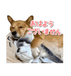 ぎんさんセリフスタンプ②（個別スタンプ：24）