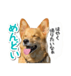 ぎんさんセリフスタンプ②（個別スタンプ：26）