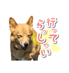 ぎんさんセリフスタンプ②（個別スタンプ：27）