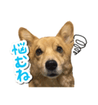 ぎんさんセリフスタンプ②（個別スタンプ：29）