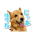 ぎんさんセリフスタンプ②（個別スタンプ：31）