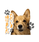 ぎんさんセリフスタンプ②（個別スタンプ：33）