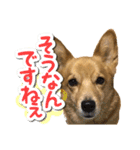 ぎんさんセリフスタンプ②（個別スタンプ：34）