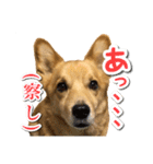 ぎんさんセリフスタンプ②（個別スタンプ：35）