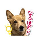 ぎんさんセリフスタンプ②（個別スタンプ：36）