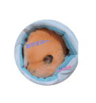 ぼく、まさお！！（個別スタンプ：1）