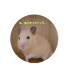 ぼく、まさお！！（個別スタンプ：2）