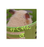 ぼく、まさお！！（個別スタンプ：4）