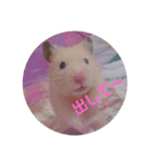 ぼく、まさお！！（個別スタンプ：5）