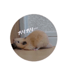 ぼく、まさお！！（個別スタンプ：7）
