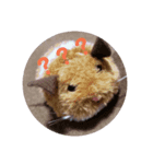 ぼく、まさお！！（個別スタンプ：8）