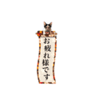 こまムギ オールスター（個別スタンプ：5）