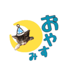 こまムギ オールスター（個別スタンプ：7）