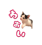 こまムギ オールスター（個別スタンプ：14）