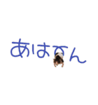 こまムギ オールスター（個別スタンプ：23）