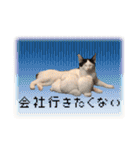 こまムギ オールスター（個別スタンプ：37）