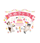 こまムギ オールスター（個別スタンプ：39）