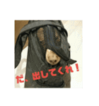 仲良し犬3兄弟（個別スタンプ：18）