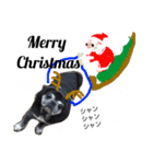 グーのクリスマスとお正月（個別スタンプ：3）