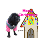 グーのクリスマスとお正月（個別スタンプ：5）