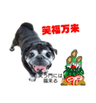 グーのクリスマスとお正月（個別スタンプ：10）