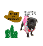 グーのクリスマスとお正月（個別スタンプ：12）