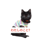 とーりさん（個別スタンプ：1）