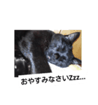 とーりさん（個別スタンプ：5）