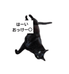 とーりさん（個別スタンプ：12）