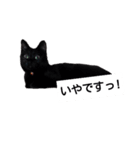 とーりさん（個別スタンプ：13）
