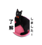 とーりさん（個別スタンプ：16）
