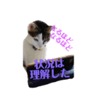 ★いちご日記-1★（個別スタンプ：2）