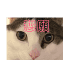 ★いちご日記-1★（個別スタンプ：6）