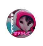 ★いちご日記-1★（個別スタンプ：7）