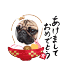 箱車日常会話（個別スタンプ：1）