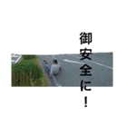 箱車日常会話（個別スタンプ：5）