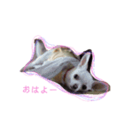 ライちゃんみなちゃん（個別スタンプ：3）
