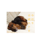 ライちゃんみなちゃん（個別スタンプ：9）