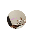 ライちゃんみなちゃん（個別スタンプ：10）