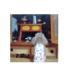 犬 ラブラドール トイプードル（個別スタンプ：6）