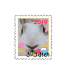 あけおめ(うさぎ)（個別スタンプ：1）