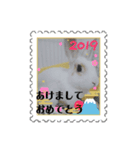 あけおめ(うさぎ)（個別スタンプ：2）