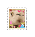 あけおめ(うさぎ)（個別スタンプ：6）