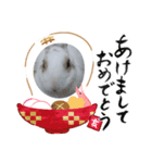 あけおめ(うさぎ)（個別スタンプ：7）