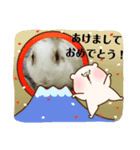 あけおめ(うさぎ)（個別スタンプ：8）