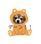 ポメチワミックス犬スタンプ（個別スタンプ：7）